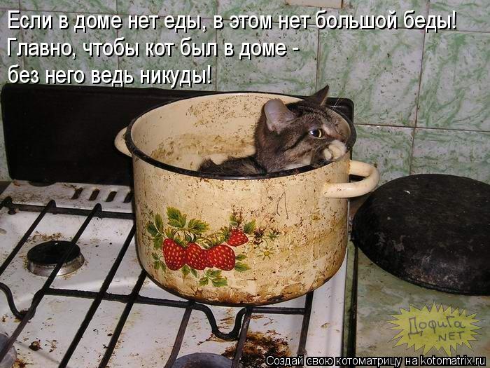 Если в доме нет еды, в этом нет большой беды! Главно, чтобы кот был в доме - без него ведь никуды!... Котоматрица: Если в доме нет еды, в этом нет большой беды! Главно, чтобы кот был в доме - без него ведь никуды!