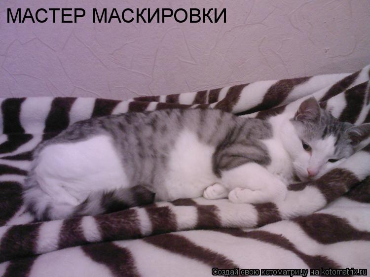 МАСТЕР МАСКИРОВКИ... Котоматрица: МАСТЕР МАСКИРОВКИ