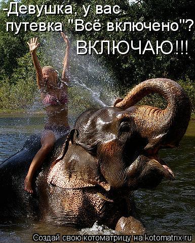 Котоматрица: -Девушка, у вас  путевка "Всё включено"? ВКЛЮЧАЮ!!!
