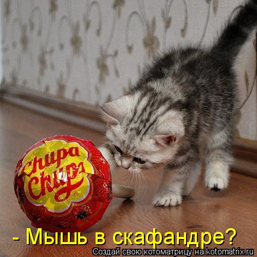 - Мышь в скафандре?... Котоматрица: - Мышь в скафандре?