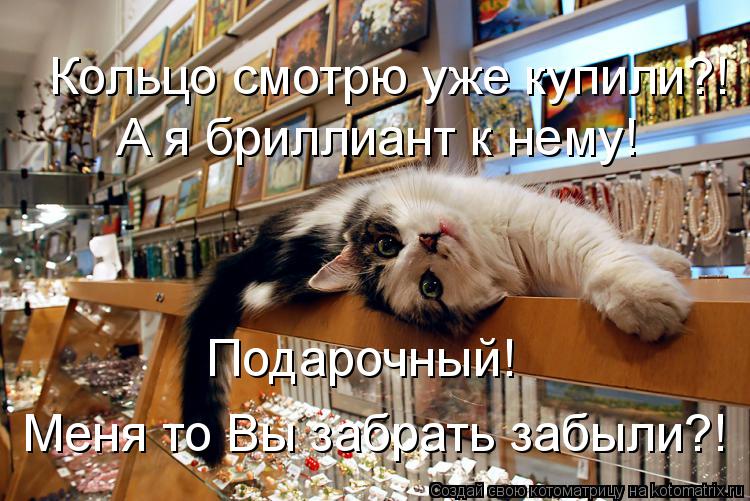 Кольцо смотрю уже купили?! А я бриллиант к нему! Подарочный! Меня то Вы забрать забыли?!... Котоматрица: Кольцо смотрю уже купили?! А я бриллиант к нему! Подарочный! Меня то Вы забрать забыли?!