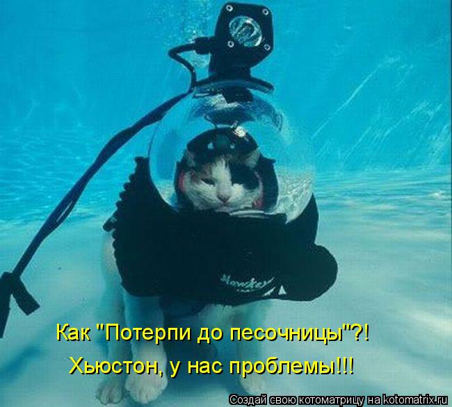 Как "Потерпи до песочницы"?! Хьюстон, у нас проблемы!!!... Котоматрица: Как "Потерпи до песочницы"?! Хьюстон, у нас проблемы!!!
