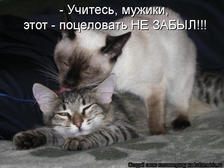 - Учитесь, мужики, этот - поцеловать НЕ ЗАБЫЛ!!!... Котоматрица: - Учитесь, мужики, этот - поцеловать НЕ ЗАБЫЛ!!!