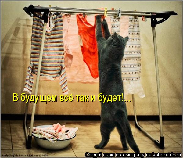 В будущем всё так и будет!...... Котоматрица: В будущем всё так и будет!...