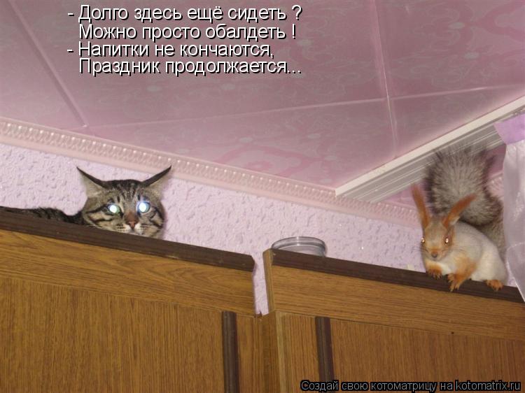 - Долго здесь ещё сидеть ? Можно просто обалдеть ! - Напитки не кончаются, Праздник продолжается...... Котоматрица: - Долго здесь ещё сидеть ? Можно просто обалдеть ! - Напитки не кончаются, Праздник продолжается...