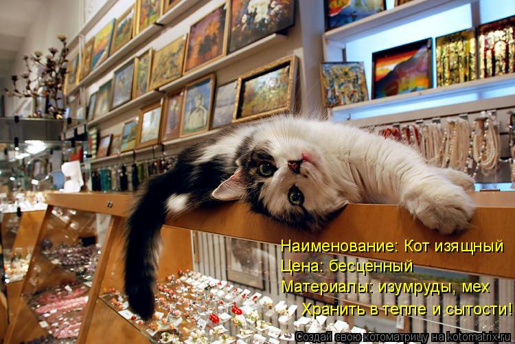 Наименование: Кот изящный Цена: бесценный Материалы: изумруды, мех Хранить в тепле и сытости!... Котоматрица: Наименование: Кот изящный Цена: бесценный Материалы: изумруды, мех Хранить в тепле и сытости!