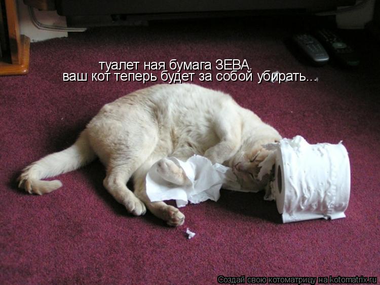 туалет ная бумага ЗЕВА. ваш кот теперь будет за собой убирать...... Котоматрица: туалет ная бумага ЗЕВА. ваш кот теперь будет за собой убирать...
