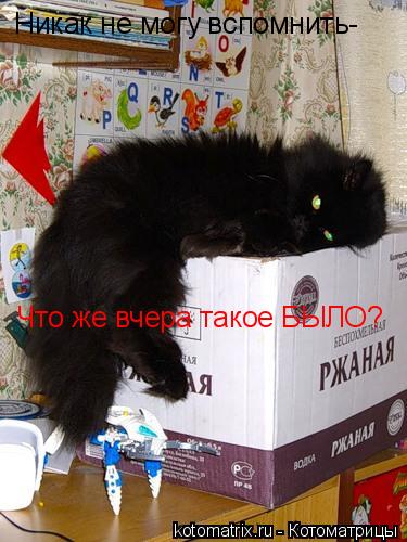 Никак не могу вспомнить- Что же вчера такое БЫЛО?... Котоматрица: Никак не могу вспомнить- Что же вчера такое БЫЛО?