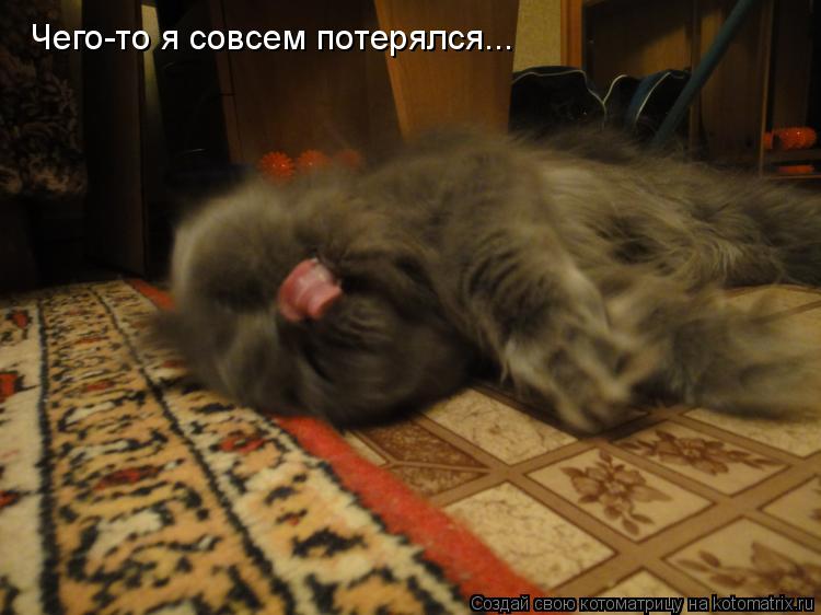 Чего-то я совсем потерялся...... Котоматрица: Чего-то я совсем потерялся...