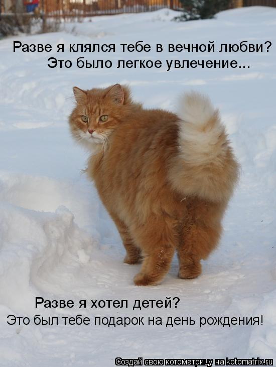 Разве я клялся тебе в вечной любви? Это было легкое увлечение... Разве я хотел детей? Это был тебе п... Котоматрица: Разве я клялся тебе в вечной любви? Это было легкое увлечение... Разве я хотел детей? Это был тебе подарок на день рождения!