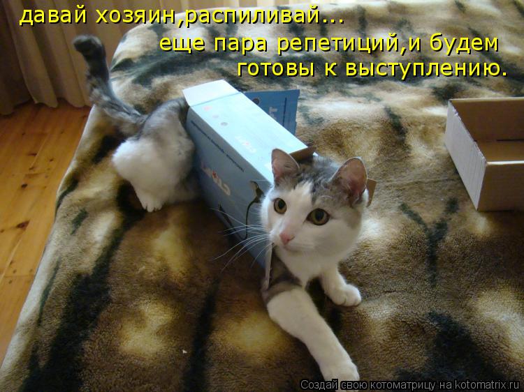 давай хозяин,распиливай... еще пара репетиций,и будем готовы к выступлению.... Котоматрица: давай хозяин,распиливай... еще пара репетиций,и будем готовы к выступлению.