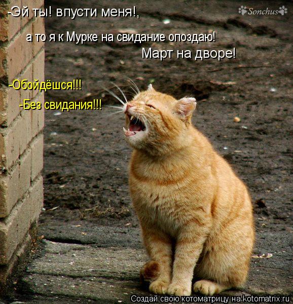 а то я к Мурке на свидание опоздаю! -Эй ты! впусти меня!, Март на дворе! -Обойдёшся!!! -Без свидания!... Котоматрица: а то я к Мурке на свидание опоздаю! -Эй ты! впусти меня!, Март на дворе! -Обойдёшся!!! -Без свидания!!!