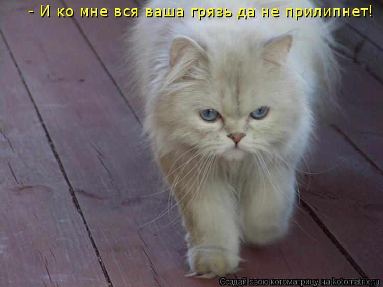 - И ко мне вся ваша грязь да не прилипнет!... Котоматрица: - И ко мне вся ваша грязь да не прилипнет!