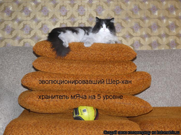 эволюционировавший Шер-хан хранитель мЯча на 5 уровне... Котоматрица: эволюционировавший Шер-хан хранитель мЯча на 5 уровне