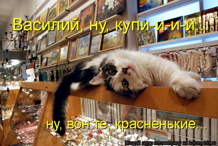 Василий, ну, купи-и-и-и... ну, вон те, красненькие...... Котоматрица: Василий, ну, купи-и-и-и... ну, вон те, красненькие...