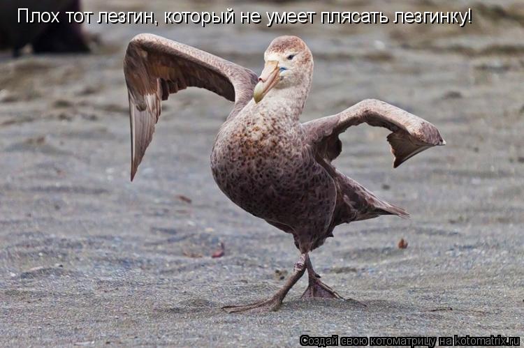 Плох тот лезгин, который не умеет плясать лезгинку!... Котоматрица: Плох тот лезгин, который не умеет плясать лезгинку!