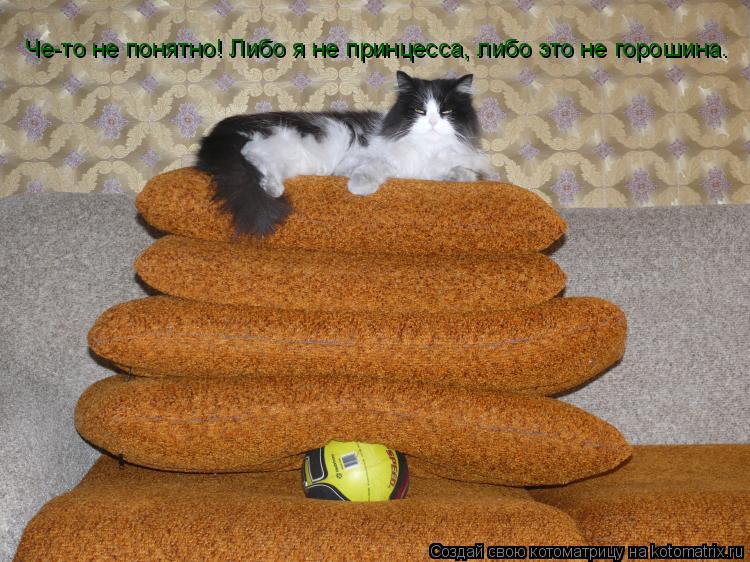 Че-то не понятно! Либо я не принцесса, либо это не горошина.... Котоматрица: Че-то не понятно! Либо я не принцесса, либо это не горошина.
