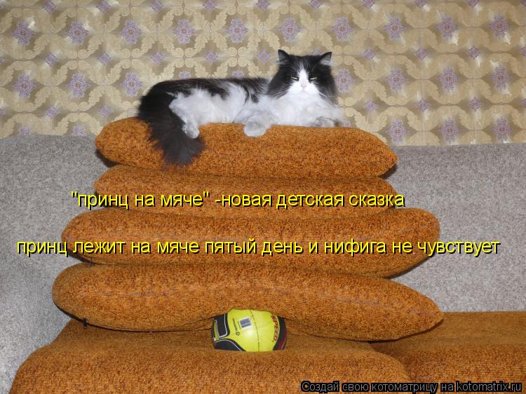 "принц на мяче" -новая детская сказка принц лежит на мяче пятый день и нифига не чувствует... Котоматрица: "принц на мяче" -новая детская сказка принц лежит на мяче пятый день и нифига не чувствует