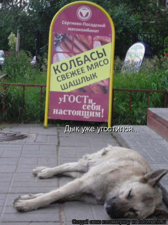 Дык уже угостился...... Котоматрица: Дык уже угостился...
