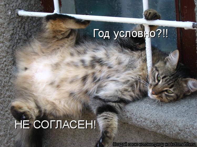 Год условно?!! НЕ СОГЛАСЕН!... Котоматрица: Год условно?!! НЕ СОГЛАСЕН!