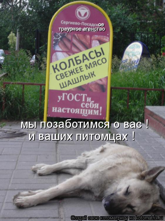 траурное агенство ое мы позаботимся о вас ! и ваших питомцах !... Котоматрица: траурное агенство ое мы позаботимся о вас ! и ваших питомцах !