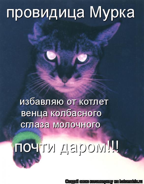 провидица Мурка избавляю от котлет венца колбасного сглаза молочного почти даром!!!... Котоматрица: провидица Мурка избавляю от котлет венца колбасного сглаза молочного почти даром!!!
