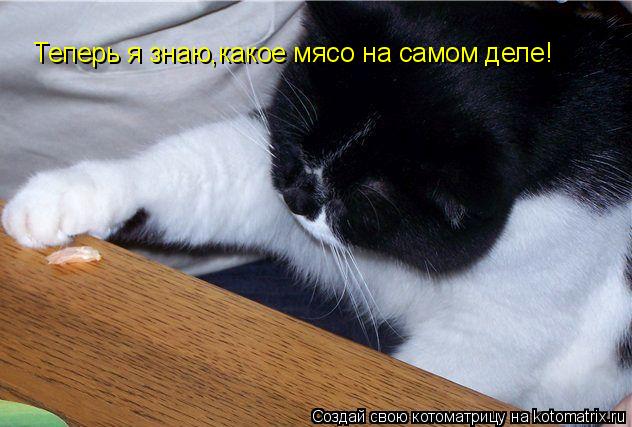 Теперь я знаю,какое мясо на самом деле!... Котоматрица: Теперь я знаю,какое мясо на самом деле!