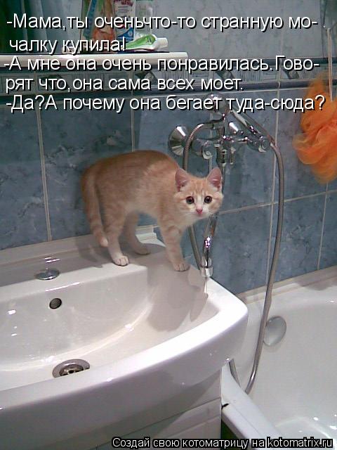 -Мама,ты оченьчто-то странную мо- чалку купила! -А мне она очень понравилась.Гово- рят что,она сама в... Котоматрица: -Мама,ты оченьчто-то странную мо- чалку купила! -А мне она очень понравилась.Гово- рят что,она сама всех моет. -Да?А почему она бегает туда-сюда