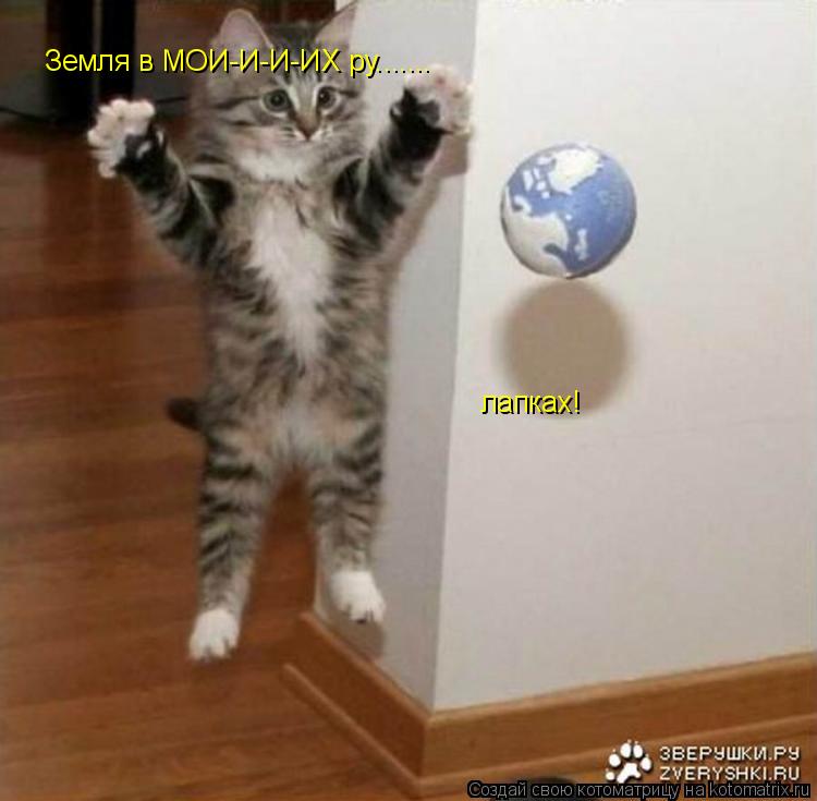 Земля в МОИ-И-И-ИХ ру....... лапках!... Котоматрица: Земля в МОИ-И-И-ИХ ру....... лапках!