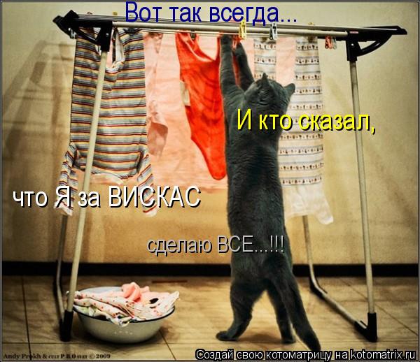 Вот так всегда... И кто сказал, что Я за ВИСКАС сделаю ВСЕ...!!!... Котоматрица: Вот так всегда... И кто сказал, что Я за ВИСКАС сделаю ВСЕ...!!!