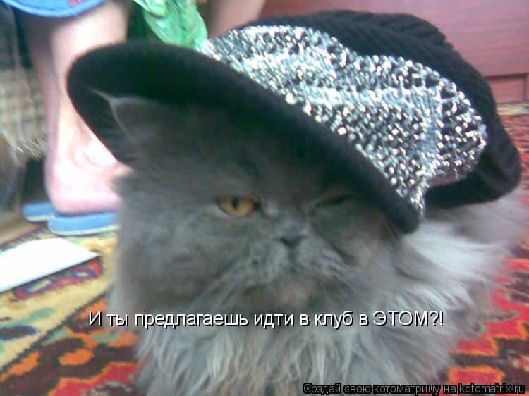 И ты предлагаешь идти в клуб в ЭТОМ?!... Котоматрица: И ты предлагаешь идти в клуб в ЭТОМ?!