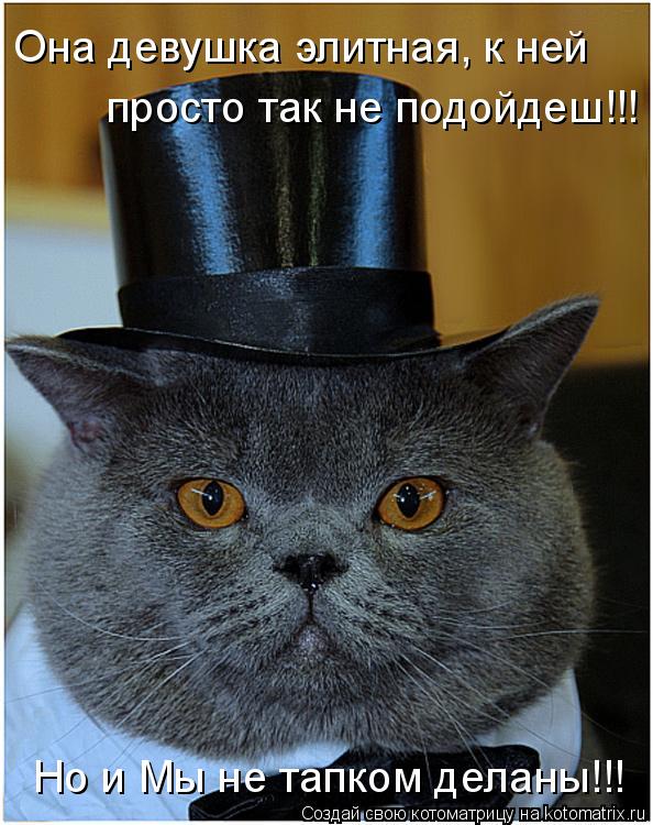 Она девушка элитная, к ней просто так не подойдеш!!! Но и Мы не тапком деланы!!!... Котоматрица: Она девушка элитная, к ней просто так не подойдеш!!! Но и Мы не тапком деланы!!!