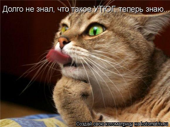 Долго не знал, что такое УТЮГ, теперь знаю...... Котоматрица: Долго не знал, что такое УТЮГ, теперь знаю...