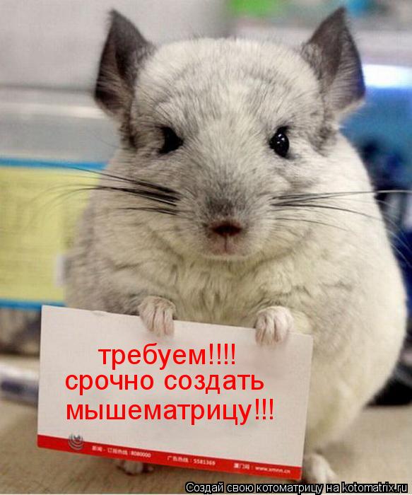 требуем!!!! срочно создать мышематрицу!!!... Котоматрица: требуем!!!! срочно создать мышематрицу!!!