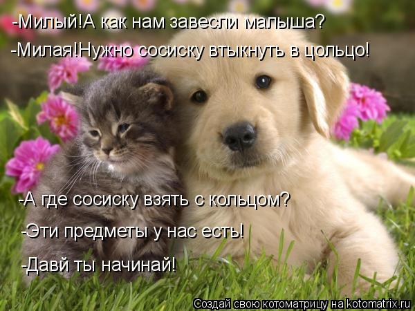 -Милый!А как нам завесли малыша? -Милая!Нужно сосиску втыкнуть в цольцо! -А где сосиску взять с кольц... Котоматрица: -Милый!А как нам завесли малыша? -Милая!Нужно сосиску втыкнуть в цольцо! -А где сосиску взять с кольцом? -Эти предметы у нас есть! -Давй ты начи