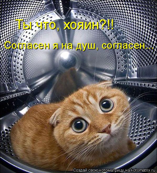 Ты что, хояин?!! Согласен я на душ, согласен...... Котоматрица: Ты что, хояин?!! Согласен я на душ, согласен...
