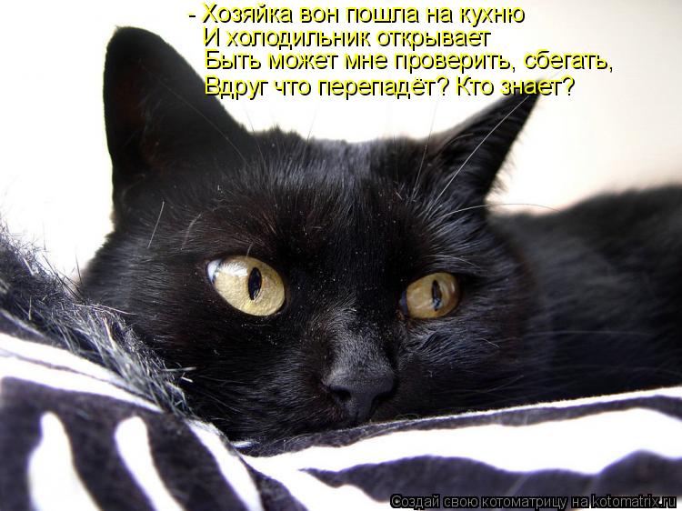 - Хозяйка вон пошла на кухню И холодильник открывает Быть может мне проверить, сбегать, Вдруг что пер... Котоматрица: - Хозяйка вон пошла на кухню И холодильник открывает Быть может мне проверить, сбегать, Вдруг что перепадёт? Кто знает?