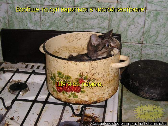 Вообще-то,суп вариться в чистой кастрюле! Щя я её помою...... Котоматрица: Вообще-то,суп вариться в чистой кастрюле! Щя я её помою...