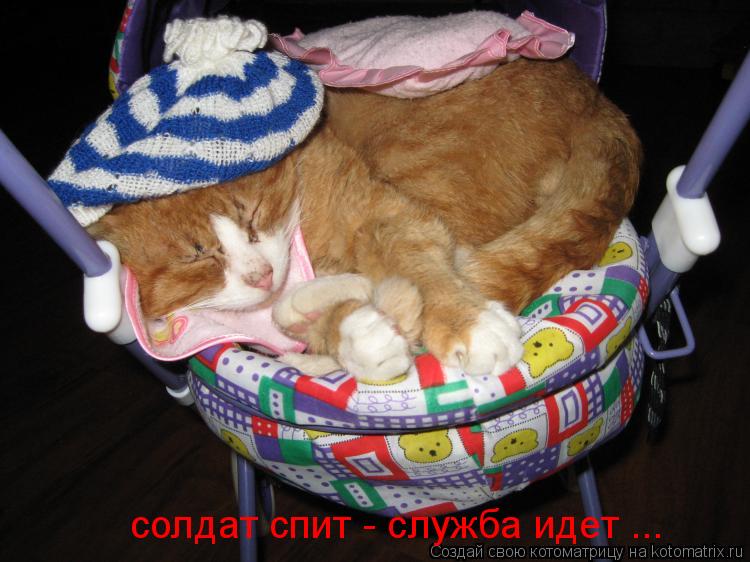 солдат спит - служба идет ...... Котоматрица: солдат спит - служба идет ...