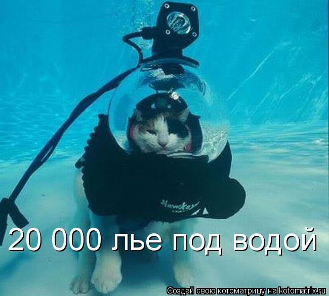 20 000 лье под водой... Котоматрица: 20 000 лье под водой