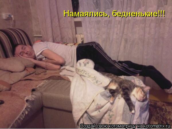 Намаялись, бедненькие!!!... Котоматрица: Намаялись, бедненькие!!!