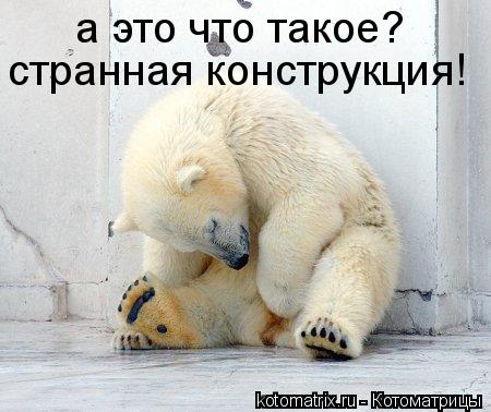 а это что такое? странная конструкция!... Котоматрица: а это что такое? странная конструкция!