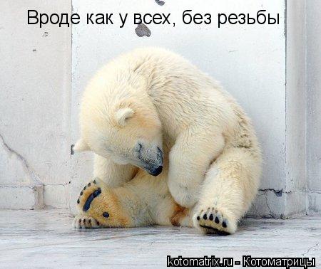 Вроде как у всех, без резьбы... Котоматрица: Вроде как у всех, без резьбы