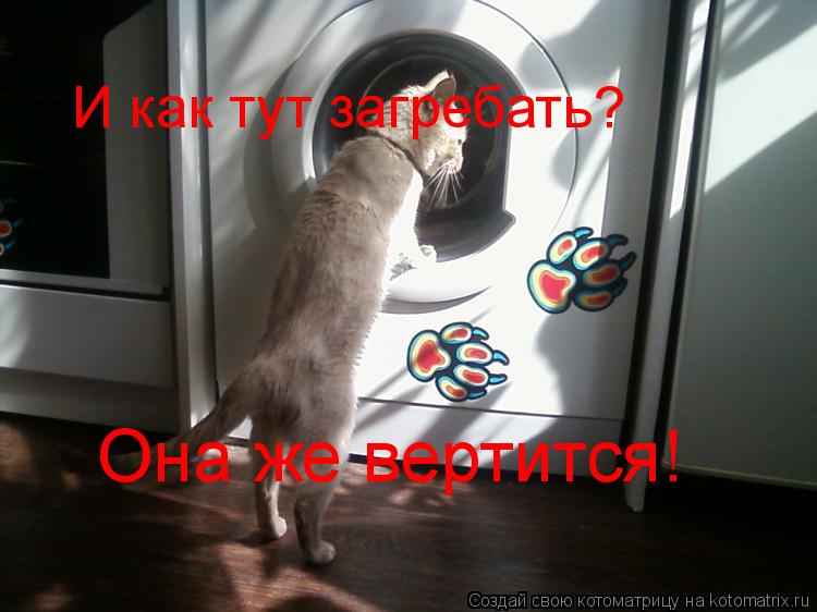 И как тут загребать? Она же вертится!... Котоматрица: И как тут загребать? Она же вертится!