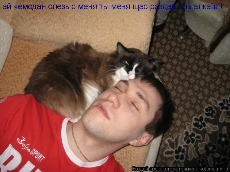 ай чемодан слезь с меня ты меня щас раздавишь алкаш!!... Котоматрица: ай чемодан слезь с меня ты меня щас раздавишь алкаш!!