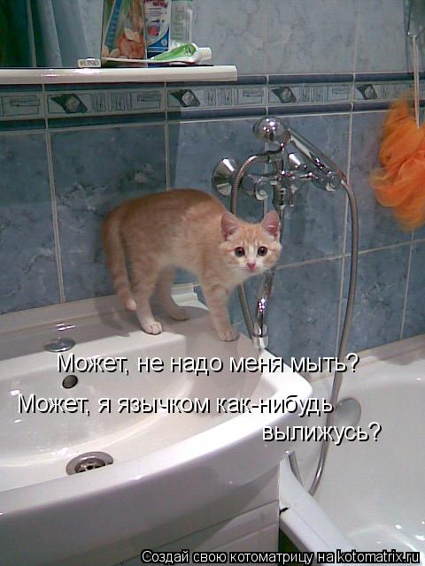 Может, не надо меня мыть? Может, я язычком как-нибудь вылижусь?... Котоматрица: Может, не надо меня мыть? Может, я язычком как-нибудь вылижусь?