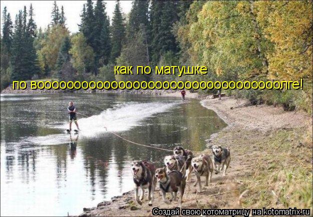 как по матушке по вооооооооооооооооооооооооооооооооолге!... Котоматрица: как по матушке по вооооооооооооооооооооооооооооооооолге!