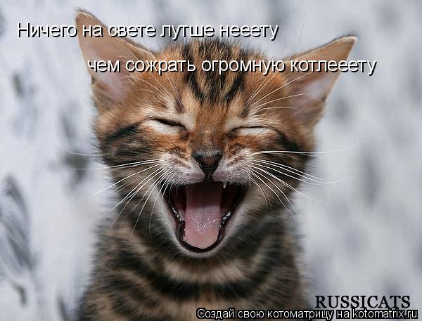 Ничего на свете лутше нееету чем сожрать огромную котлееету... Котоматрица: Ничего на свете лутше нееету чем сожрать огромную котлееету