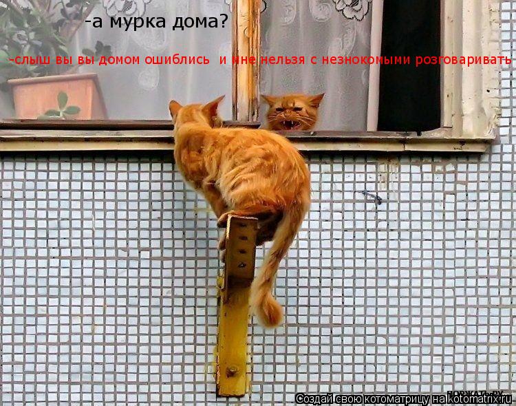 -а мурка дома? -слыш вы вы домом ошиблись и мне нельзя с незнокомыми розговаривать... Котоматрица: -а мурка дома? -слыш вы вы домом ошиблись и мне нельзя с незнокомыми розговаривать