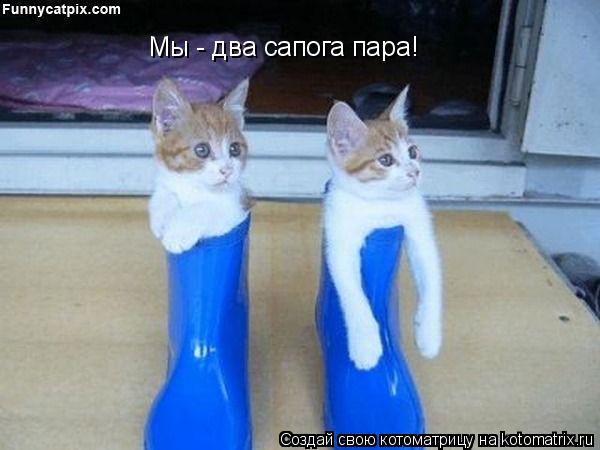 Мы - два сапога пара!... Котоматрица: Мы - два сапога пара!